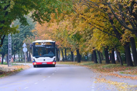 Ingyenesen használhatják decemberben a helyi buszjáratokat – köszönet a szociális munka napján